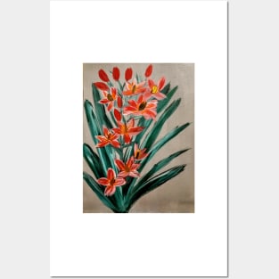 Orchids in red and white flowers grown wild. Posters and Art